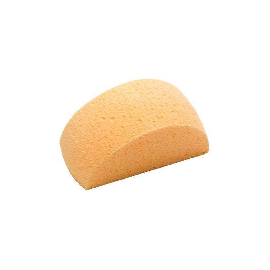 Captain's Choice All Purpose Sponge