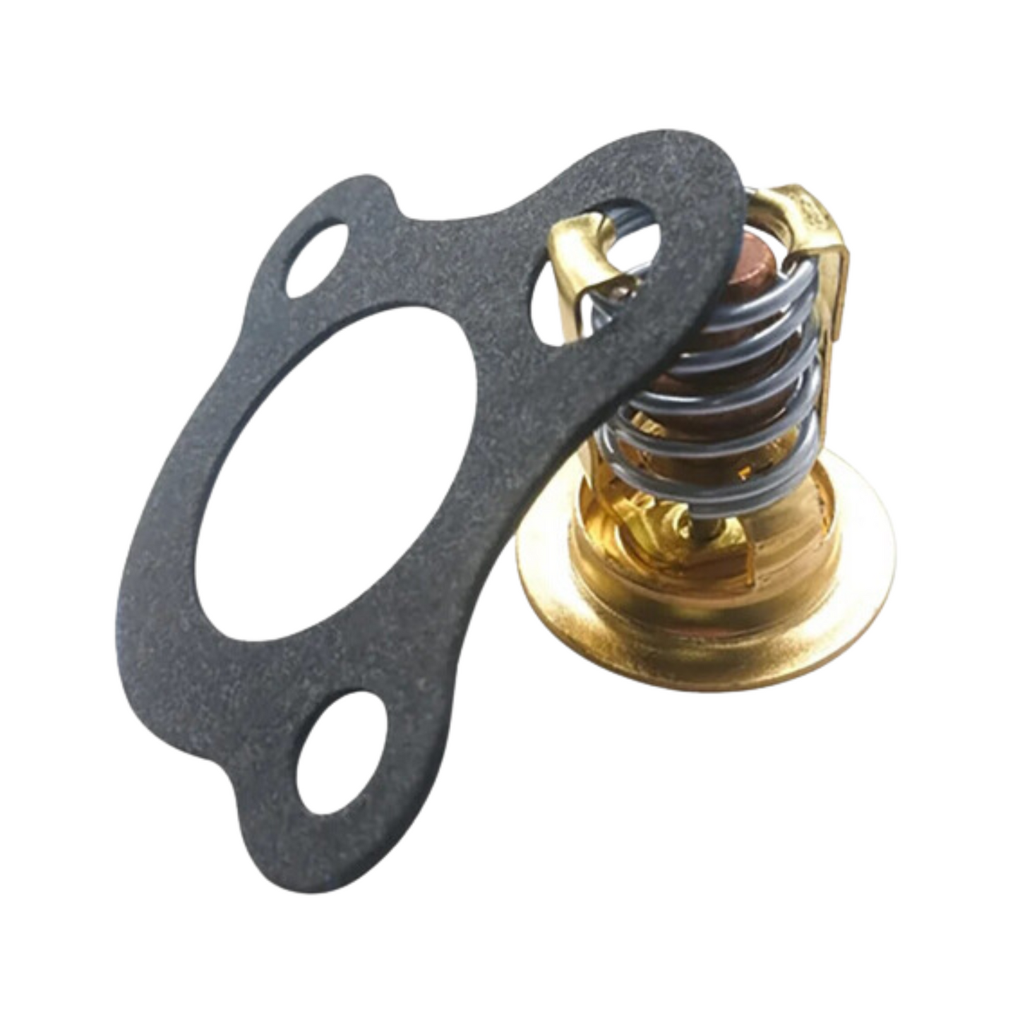 Mercury Thermostat Kit